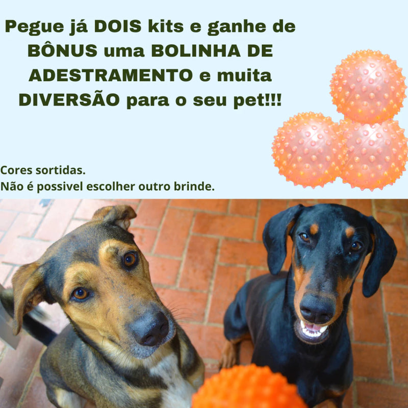 Kit 3 Tapetes Higiênicos Laváveis 80x60cm Branco com Borda Preta. Vila Flor Pee Dog GG
