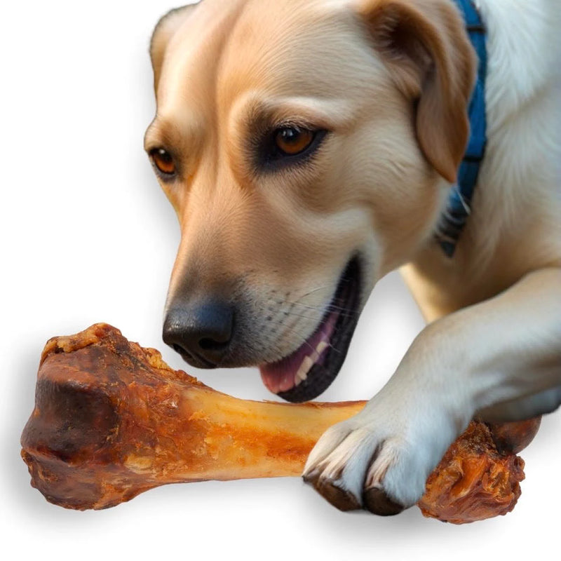 Kit 4 Osso Pet Femur Defumado Suino - Tamanho 20 CM - Para Cachorro